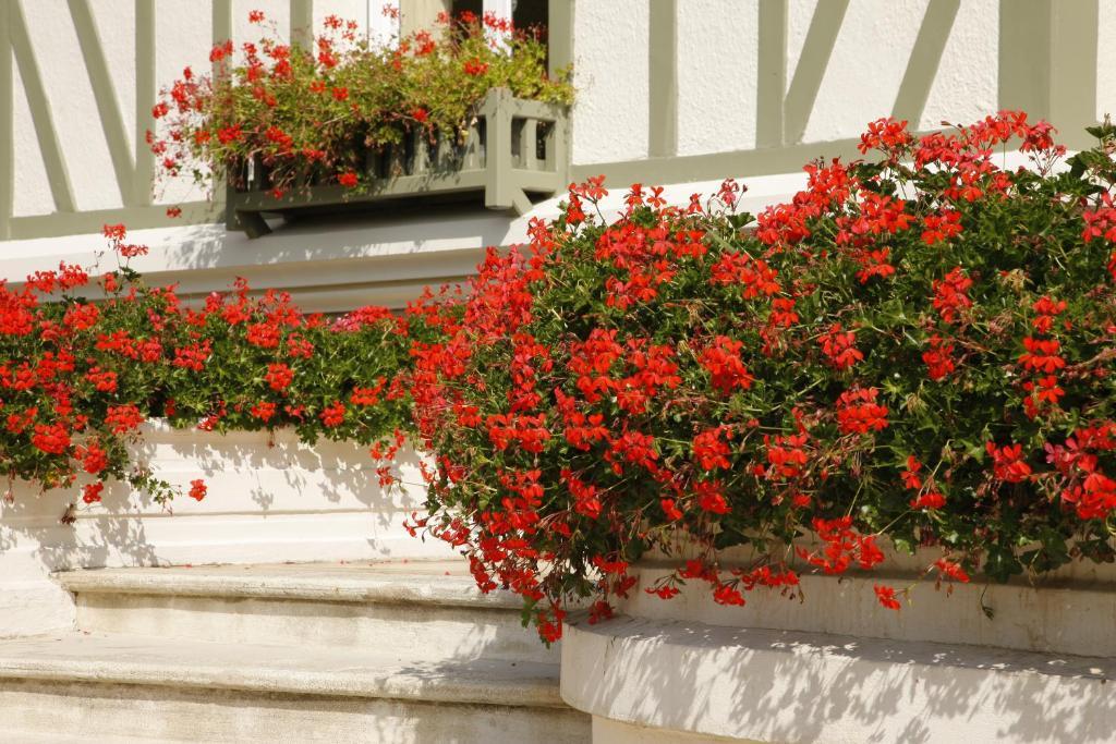Bed and Breakfast Manoir De Benerville Deauville Exterior foto